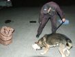 Spoločný výcvik psovodov a služobných policajných psov